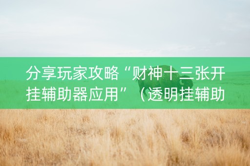 分享玩家攻略“财神十三张开挂辅助器应用”（透明挂辅助器)