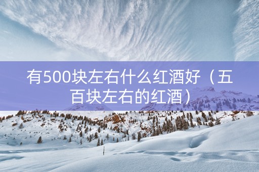 有500块左右什么红酒好（五百块左右的红酒）