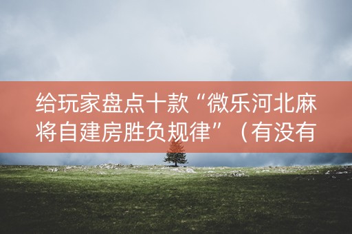 给玩家盘点十款“微乐河北麻将自建房胜负规律”（有没有猫腻)