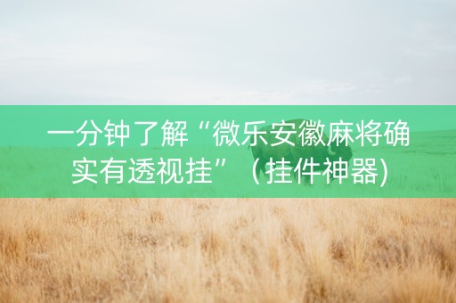 一分钟了解“微乐安徽麻将确实有透视挂”（挂件神器)