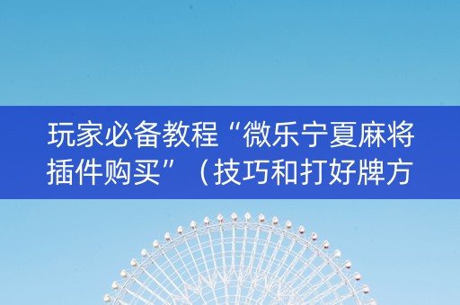 玩家必备教程“微乐宁夏麻将插件购买”（技巧和打好牌方法)