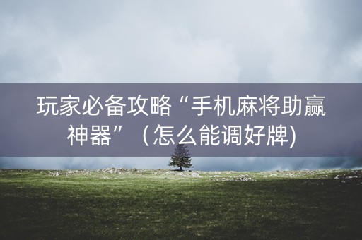 玩家必备攻略“手机麻将助赢神器”（怎么能调好牌)
