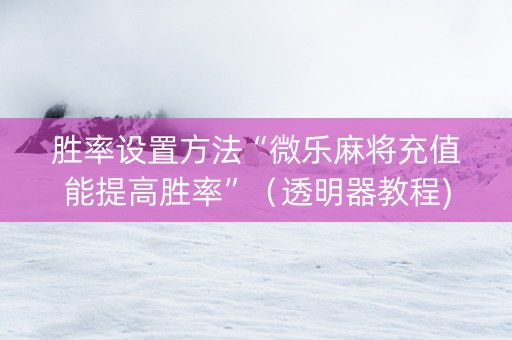 胜率设置方法“微乐麻将充值能提高胜率”（透明器教程)