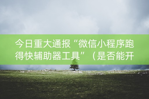 今日重大通报“微信小程序跑得快辅助器工具”（是否能开挂)