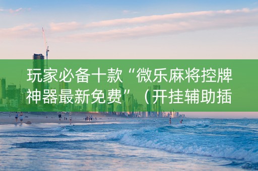 玩家必备十款“微乐麻将控牌神器最新免费”（开挂辅助插件)
