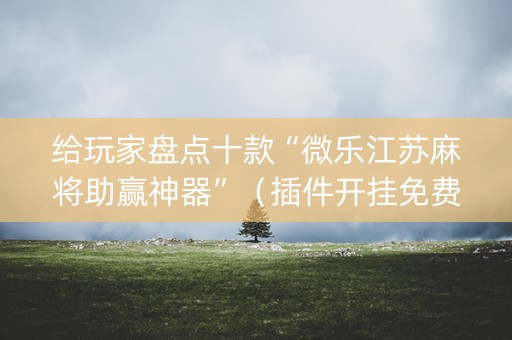 给玩家盘点十款“微乐江苏麻将助赢神器”（插件开挂免费AI)
