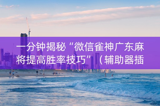 一分钟揭秘“微信雀神广东麻将提高胜率技巧”（辅助器插件)