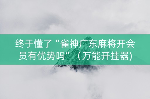 终于懂了“雀神广东麻将开会员有优势吗”（万能开挂器)