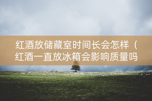 红酒放储藏室时间长会怎样（红酒一直放冰箱会影响质量吗）