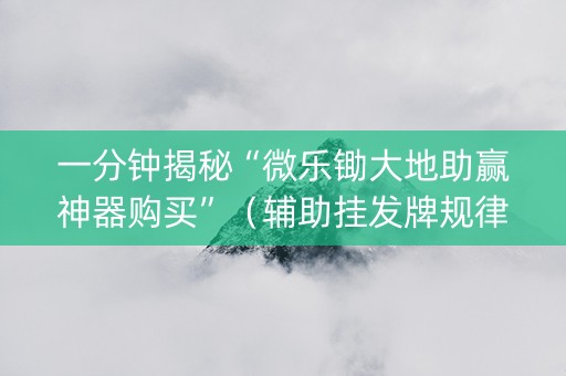 一分钟揭秘“微乐锄大地助赢神器购买”（辅助挂发牌规律)