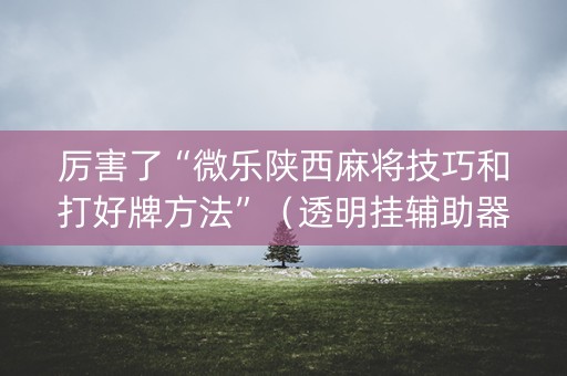 厉害了“微乐陕西麻将技巧和打好牌方法”（透明挂辅助器)