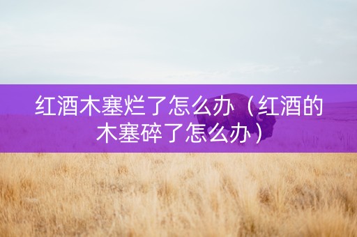 红酒木塞烂了怎么办（红酒的木塞碎了怎么办）