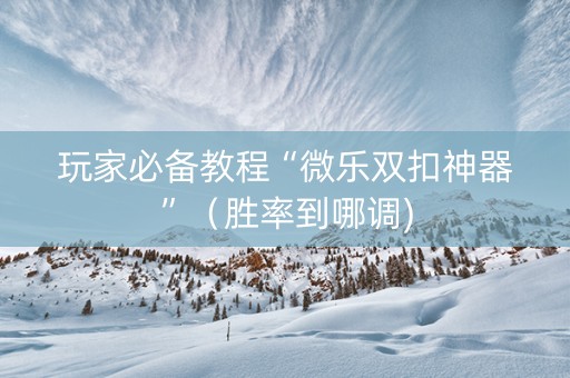 玩家必备教程“微乐双扣神器”（胜率到哪调)