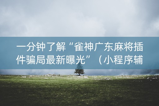一分钟了解“雀神广东麻将插件骗局最新曝光”（小程序辅助软件)