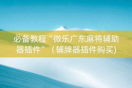 必备教程“微乐广东麻将辅助器插件”（辅牌器插件购买)