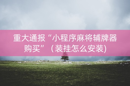 重大通报“小程序麻将辅牌器购买”（装挂怎么安装)