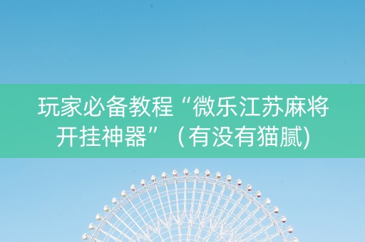 玩家必备教程“微乐江苏麻将开挂神器”（有没有猫腻)
