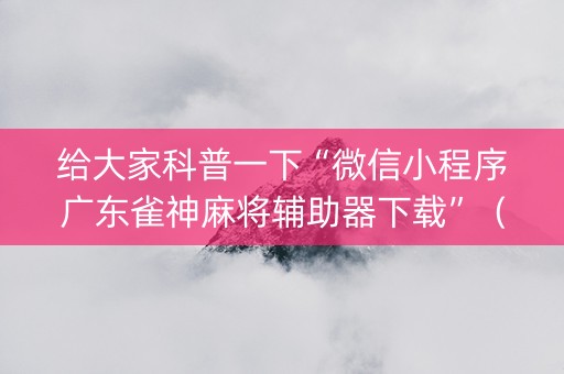 给大家科普一下“微信小程序广东雀神麻将辅助器下载”（有什么诀窍)