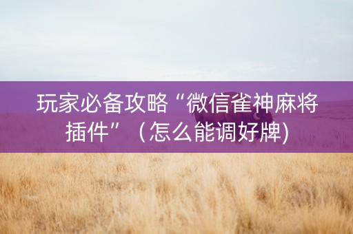 玩家必备攻略“微信雀神麻将插件”（怎么能调好牌)