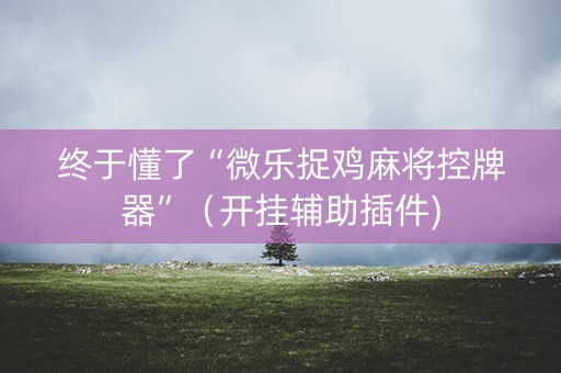 终于懂了“微乐捉鸡麻将控牌器”（开挂辅助插件)