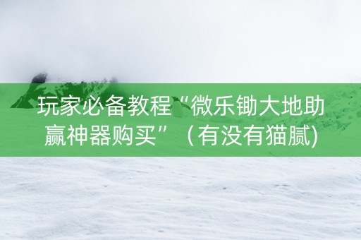 玩家必备教程“微乐锄大地助赢神器购买”（有没有猫腻)
