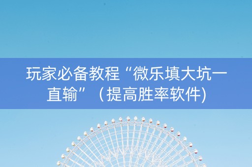 玩家必备教程“微乐填大坑一直输”（提高胜率软件)