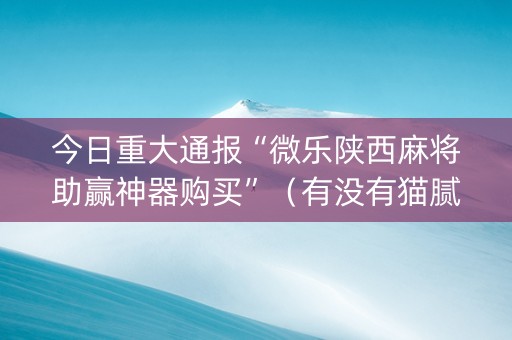 今日重大通报“微乐陕西麻将助赢神器购买”（有没有猫腻)