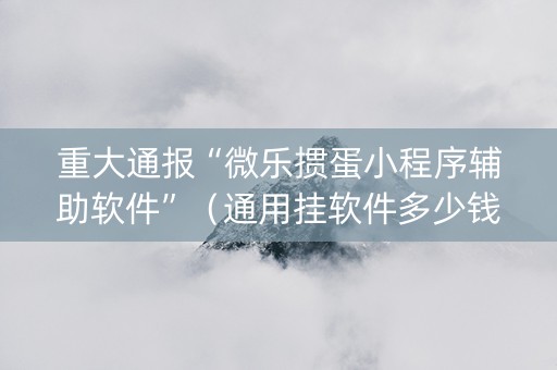 重大通报“微乐掼蛋小程序辅助软件”（通用挂软件多少钱)