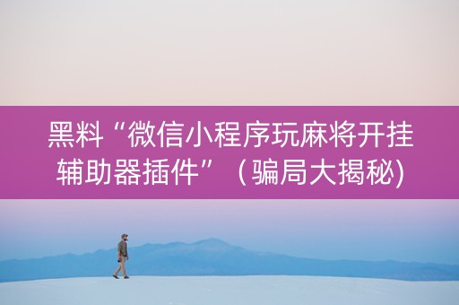 黑料“微信小程序玩麻将开挂辅助器插件”（骗局大揭秘)