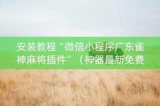 安装教程“微信小程序广东雀神麻将插件”（神器最新免费)
