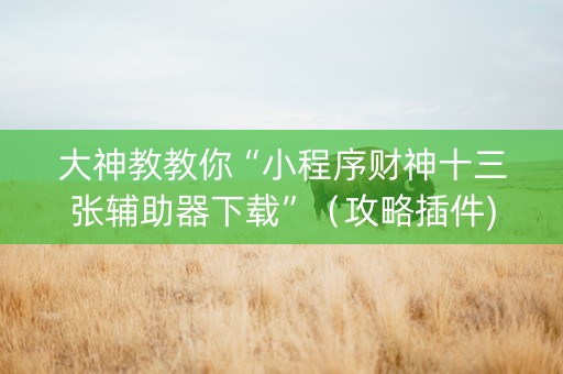 大神教教你“小程序财神十三张辅助器下载”（攻略插件)
