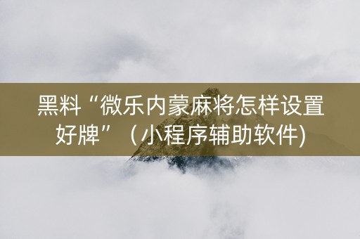 黑料“微乐内蒙麻将怎样设置好牌”（小程序辅助软件)