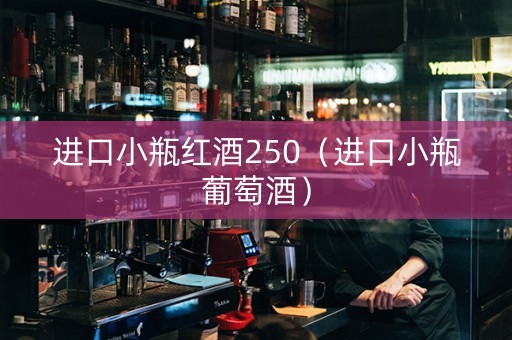 进口小瓶红酒250（进口小瓶葡萄酒）