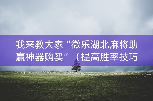 我来教大家“微乐湖北麻将助赢神器购买”（提高胜率技巧)