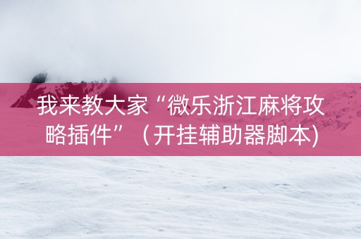 我来教大家“微乐浙江麻将攻略插件”（开挂辅助器脚本)