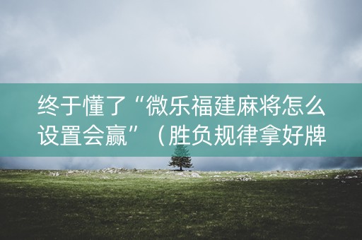 终于懂了“微乐福建麻将怎么设置会赢”（胜负规律拿好牌)