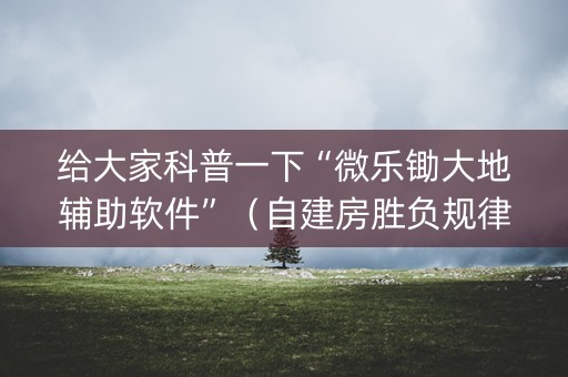 给大家科普一下“微乐锄大地辅助软件”（自建房胜负规律)