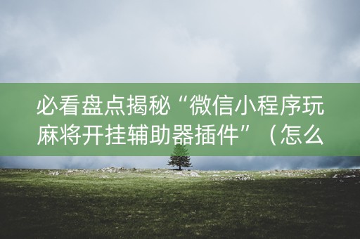 必看盘点揭秘“微信小程序玩麻将开挂辅助器插件”（怎么提高胜率)