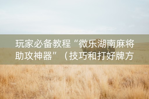 玩家必备教程“微乐湖南麻将助攻神器”（技巧和打好牌方法)