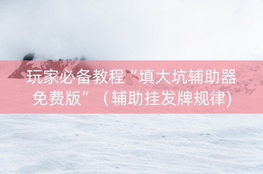 玩家必备教程“填大坑辅助器免费版”（辅助挂发牌规律)