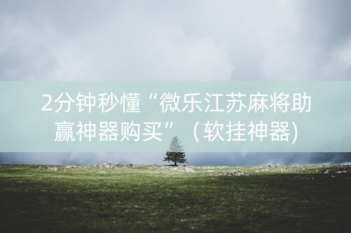2分钟秒懂“微乐江苏麻将助赢神器购买”（软挂神器)