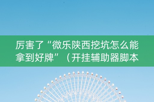 厉害了“微乐陕西挖坑怎么能拿到好牌”（开挂辅助器脚本)
