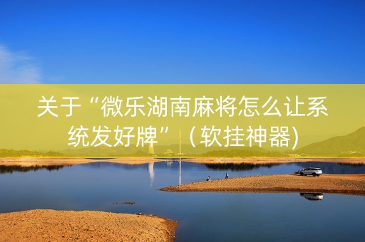 关于“微乐湖南麻将怎么让系统发好牌”（软挂神器)