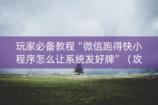 玩家必备教程“微信跑得快小程序怎么让系统发好牌”（攻略插件)
