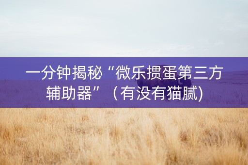 一分钟揭秘“微乐掼蛋第三方辅助器”（有没有猫腻)