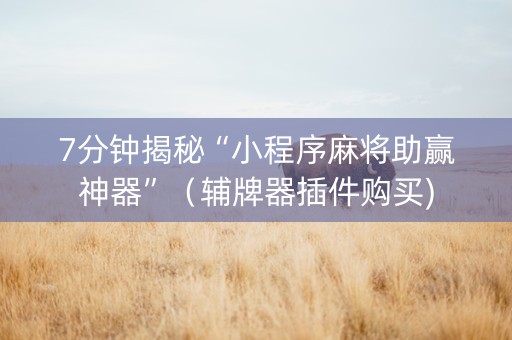 7分钟揭秘“小程序麻将助赢神器”（辅牌器插件购买)