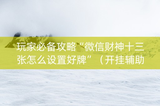玩家必备攻略“微信财神十三张怎么设置好牌”（开挂辅助器插件)