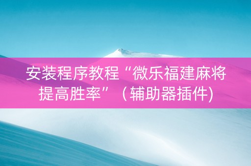 安装程序教程“微乐福建麻将提高胜率”（辅助器插件)