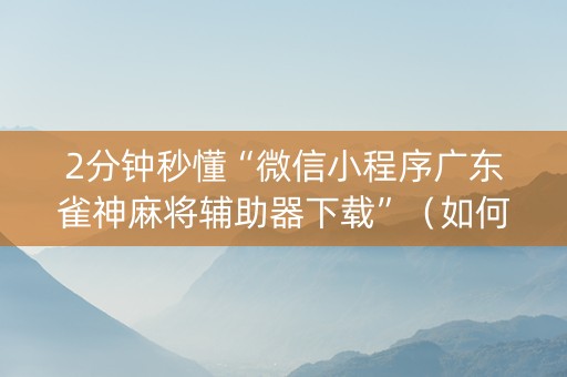 2分钟秒懂“微信小程序广东雀神麻将辅助器下载”（如何让系统发好牌)