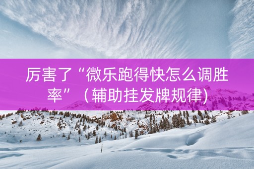 厉害了“微乐跑得快怎么调胜率”（辅助挂发牌规律)